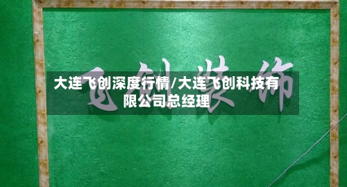 大连飞创深度行情/大连飞创科技有限公司总经理