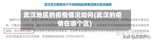 武汉地区的疫情情况如何(武汉的疫情在哪个区)-第2张图片