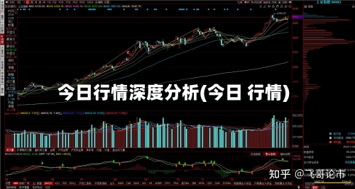 今日行情深度分析(今日 行情)-第3张图片
