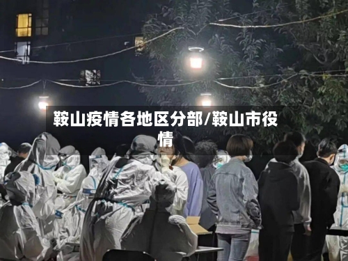 鞍山疫情各地区分部/鞍山市役情