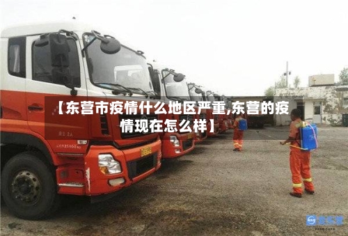 【东营市疫情什么地区严重,东营的疫情现在怎么样】
