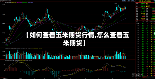 【如何查看玉米期货行情,怎么查看玉米期货】
