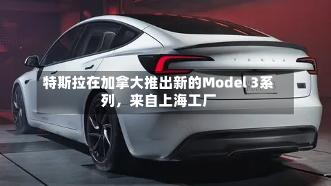 特斯拉在加拿大推出新的Model 3系列，来自上海工厂-第3张图片
