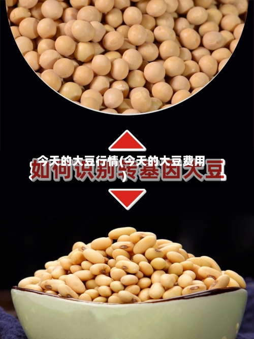 今天的大豆行情(今天的大豆费用)