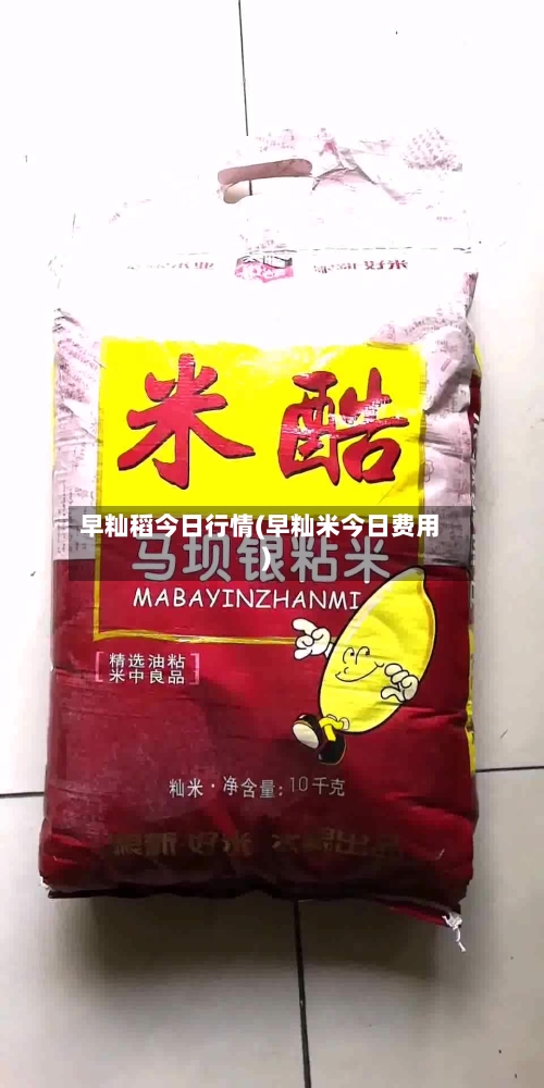 早籼稻今日行情(早籼米今日费用)