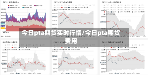 今日pta期货实时行情/今日pta期货费用
