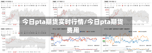 今日pta期货实时行情/今日pta期货费用-第3张图片