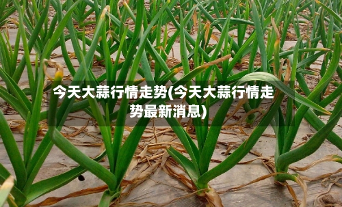 今天大蒜行情走势(今天大蒜行情走势最新消息)
