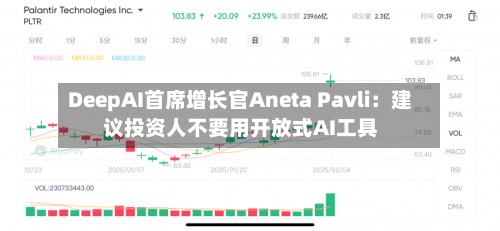 DeepAI首席增长官Aneta Pavli：建议投资人不要用开放式AI工具