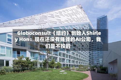 Globoconsult（纽约）创始人Shirley Hon：现在还没有赚钱的AI公司，我们是不投的-第3张图片