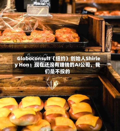 Globoconsult（纽约）创始人Shirley Hon：现在还没有赚钱的AI公司，我们是不投的-第2张图片