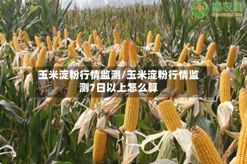 玉米淀粉行情监测/玉米淀粉行情监测7日以上怎么算