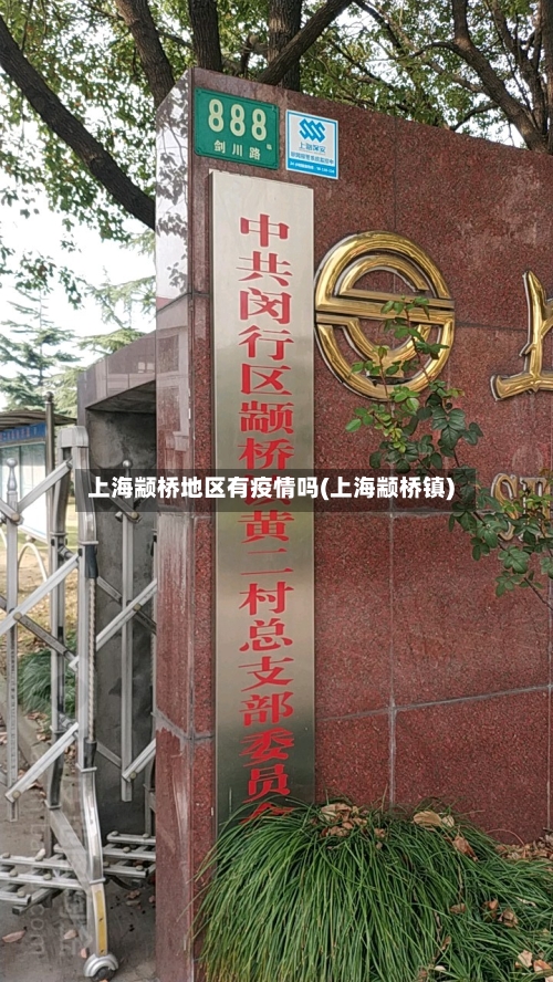 上海颛桥地区有疫情吗(上海颛桥镇)-第2张图片