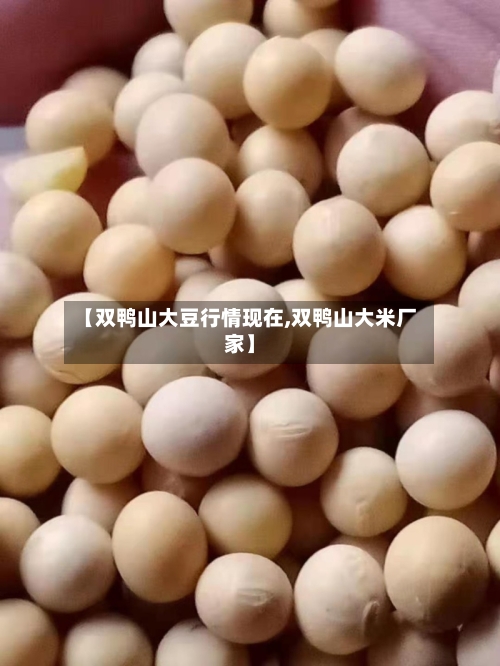 【双鸭山大豆行情现在,双鸭山大米厂家】