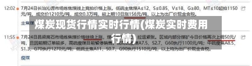 煤炭现货行情实时行情(煤炭实时费用行情)