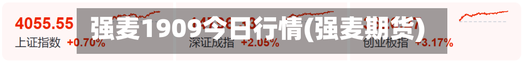 强麦1909今日行情(强麦期货)