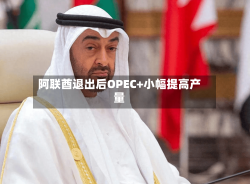 阿联酋退出后OPEC+小幅提高产量