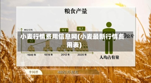 小麦行情费用信息网(小麦最新行情费用表)