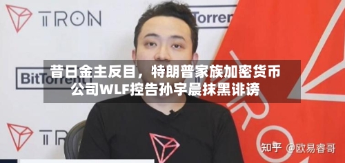 昔日金主反目，特朗普家族加密货币公司WLF控告孙宇晨抹黑诽谤-第3张图片