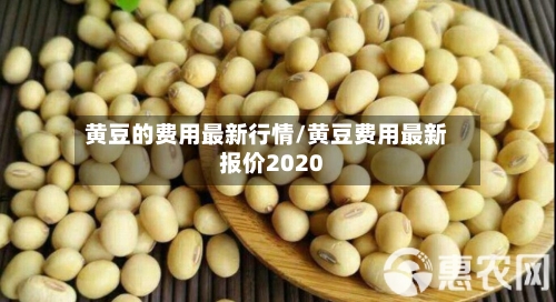 黄豆的费用最新行情/黄豆费用最新报价2020-第2张图片