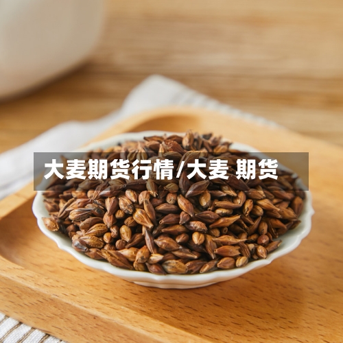 大麦期货行情/大麦 期货