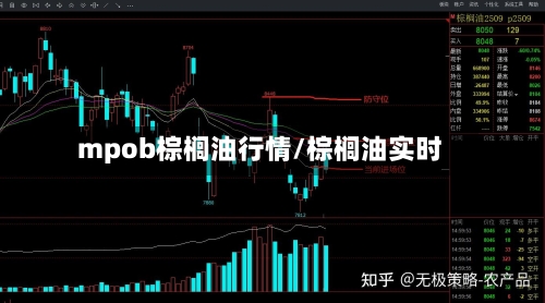 mpob棕榈油行情/棕榈油实时