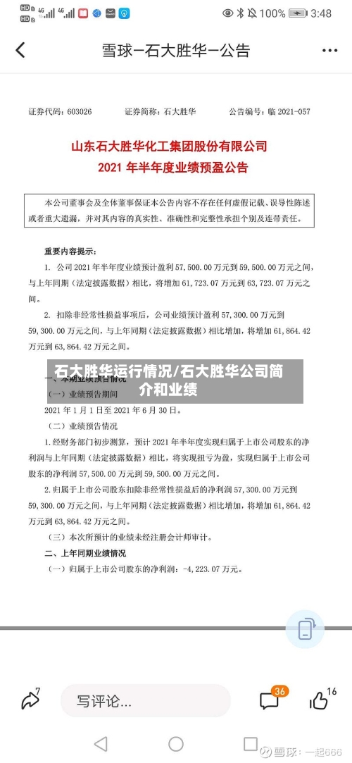 石大胜华运行情况/石大胜华公司简介和业绩