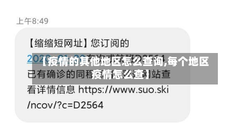 【疫情的其他地区怎么查询,每个地区疫情怎么查】