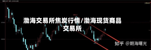 渤海交易所焦炭行情/渤海现货商品交易所
