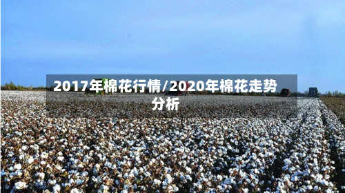 2017年棉花行情/2020年棉花走势分析