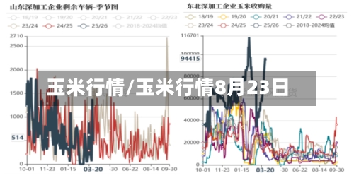 玉米行情/玉米行情8月23日-第2张图片