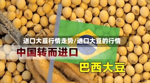 进口大豆行情走势/进口大豆的行情