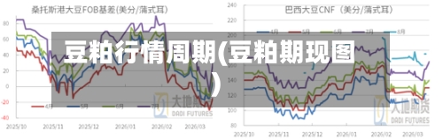 豆粕行情周期(豆粕期现图)