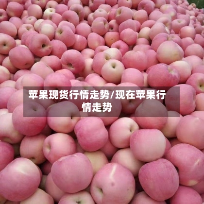 苹果现货行情走势/现在苹果行情走势