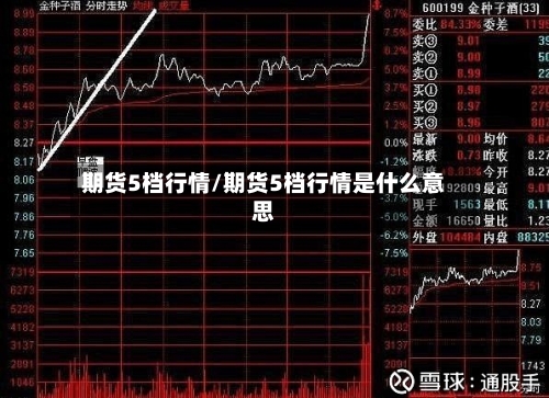 期货5档行情/期货5档行情是什么意思