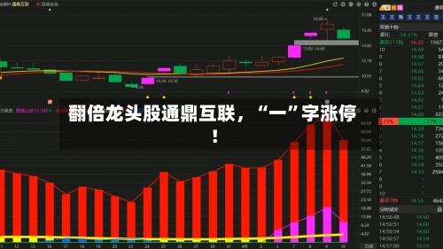 翻倍龙头股通鼎互联，“一”字涨停！-第3张图片