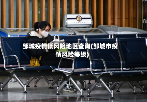 邹城疫情低风险地区查询(邹城市疫情风险等级)