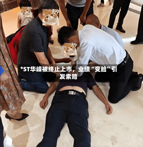 *ST华嵘被终止上市，业绩“变脸”引发索赔-第3张图片