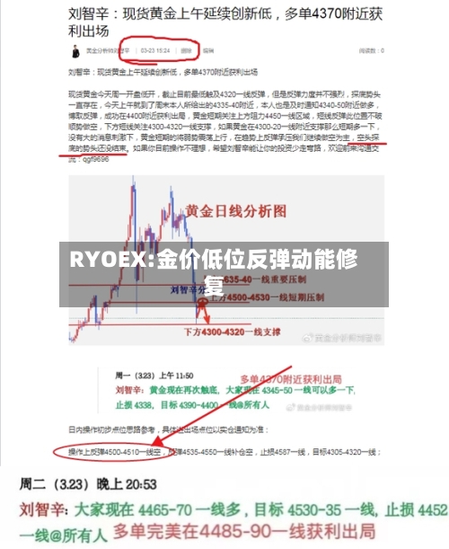 RYOEX:金价低位反弹动能修复