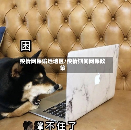 疫情网课偏远地区/疫情期间网课政策