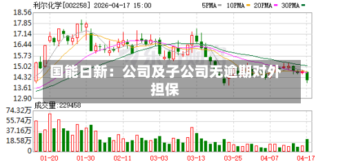 国能日新：公司及子公司无逾期对外担保