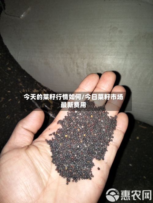 今天的菜籽行情如何/今日菜籽市场最新费用