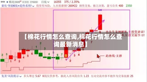 【棉花行情怎么查询,棉花行情怎么查询最新消息】
