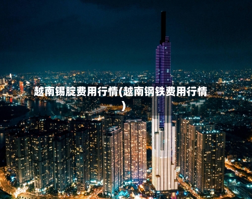 越南锡腚费用行情(越南钢铁费用行情)