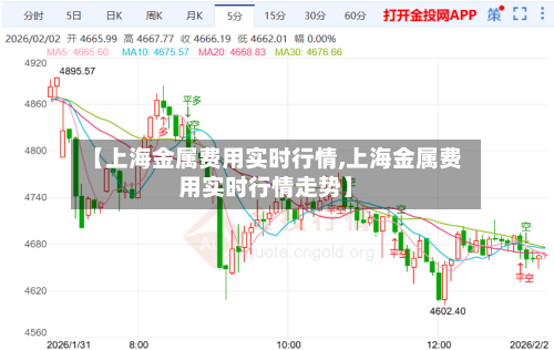 【上海金属费用实时行情,上海金属费用实时行情走势】