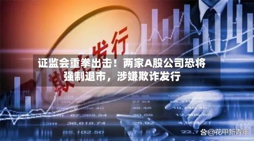 证监会重拳出击！两家A股公司恐将强制退市，涉嫌欺诈发行-第3张图片