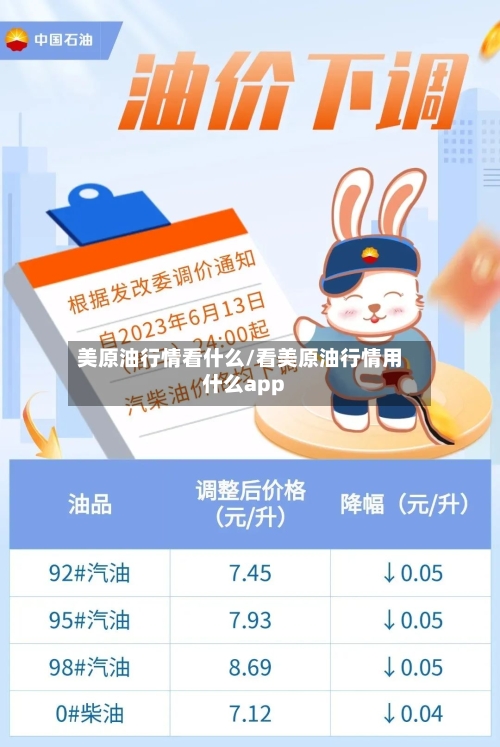 美原油行情看什么/看美原油行情用什么app