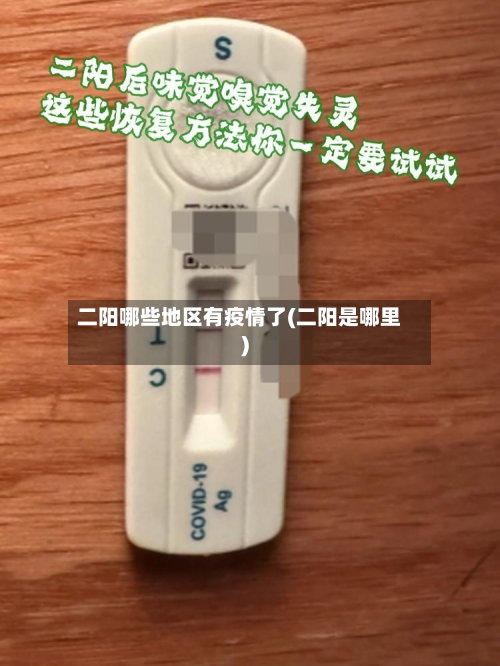 二阳哪些地区有疫情了(二阳是哪里)