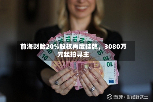 前海财险20%股权再度挂牌，3080万元起拍寻主