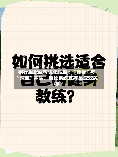银行组织架构优化观察：“瘦身”与“增肌”并举，后续系统支撑是成效关键-第3张图片
